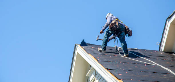 Best Storm Damage Roof Repair  in Cottonwood, MN
